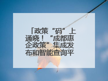 政策“码”上通晓！“成都惠企政策”集成发布和智能查询平台今日上线