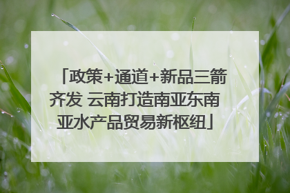 政策+通道+新品三箭齐发 云南打造南亚东南亚水产品贸易新枢纽