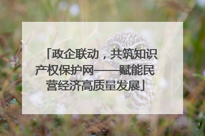 政企联动，共筑知识产权保护网——赋能民营经济高质量发展