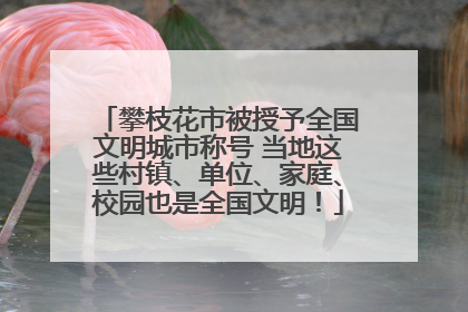 攀枝花市被授予全国文明城市称号 当地这些村镇、单位、家庭、校园也是全国文明！