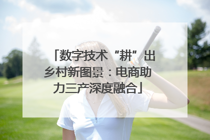 数字技术“耕”出乡村新图景：电商助力三产深度融合