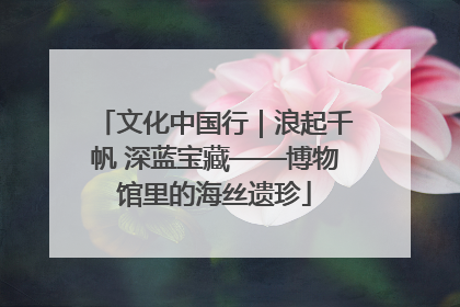 文化中国行｜浪起千帆 深蓝宝藏——博物馆里的海丝遗珍