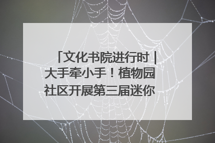 文化书院进行时｜大手牵小手！植物园社区开展第三届迷你马拉松活动