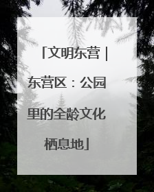 文明东营｜东营区：公园里的全龄文化栖息地