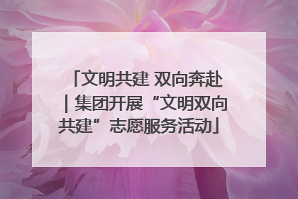 文明共建 双向奔赴｜集团开展“文明双向共建”志愿服务活动