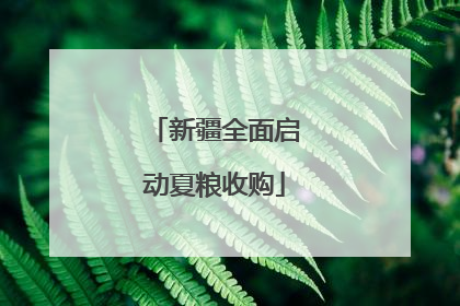 新疆全面启动夏粮收购