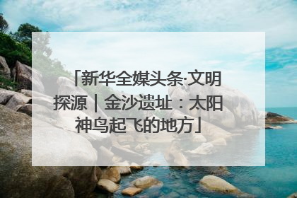 新华全媒头条·文明探源｜金沙遗址：太阳神鸟起飞的地方