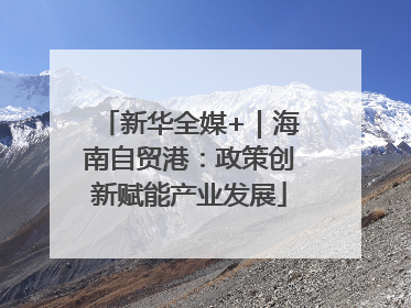 新华全媒+｜海南自贸港：政策创新赋能产业发展