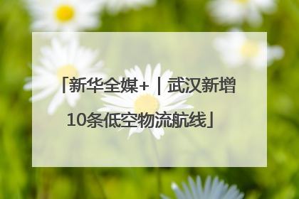 新华全媒+｜武汉新增10条低空物流航线
