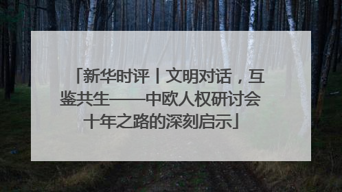 新华时评丨文明对话，互鉴共生——中欧人权研讨会十年之路的深刻启示