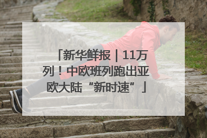新华鲜报｜11万列！中欧班列跑出亚欧大陆“新时速”