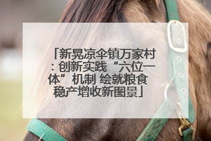 新晃凉伞镇万家村：创新实践“六位一体”机制 绘就粮食稳产增收新图景