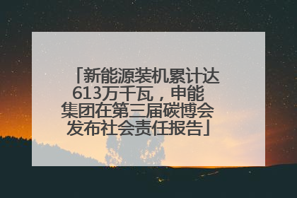 新能源装机累计达613万千瓦，申能集团在第三届碳博会发布社会责任报告