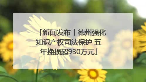 新闻发布丨德州强化知识产权司法保护 五年挽损超930万元