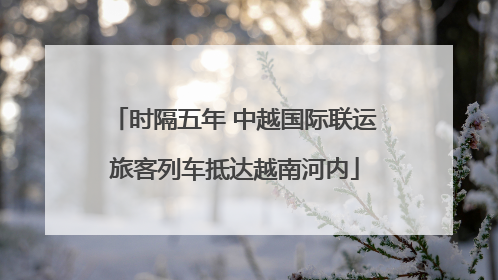 时隔五年 中越国际联运旅客列车抵达越南河内