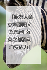 旅发大会点燃邵阳文旅热潮 卤菜之都涌动消费活力