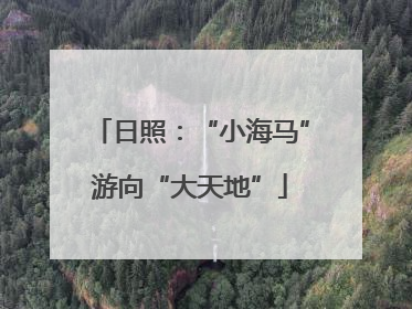 日照：“小海马”游向“大天地”