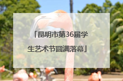 昆明市第36届学生艺术节圆满落幕