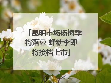 昆明市场杨梅季将落幕 蜂糖李即将接档上市