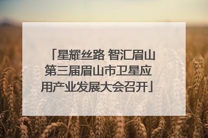 星耀丝路 智汇眉山 第三届眉山市卫星应用产业发展大会召开