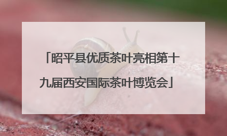昭平县优质茶叶亮相第十九届西安国际茶叶博览会
