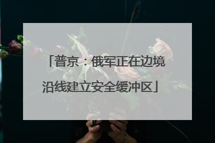 普京：俄军正在边境沿线建立安全缓冲区