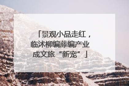景观小品走红，临沭柳编藤编产业成文旅“新宠”