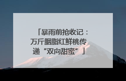 暴雨前抢收记：万斤胭脂红鲜桃传递“双向甜蜜”