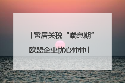 暂居关税“喘息期” 欧盟企业忧心忡忡