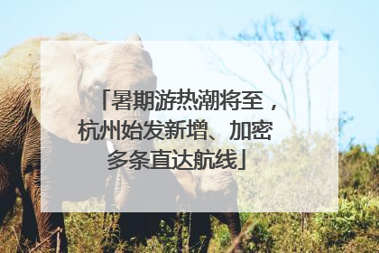 暑期游热潮将至，杭州始发新增、加密多条直达航线