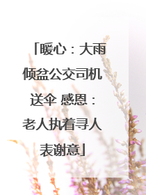 暖心：大雨倾盆公交司机送伞 感恩：老人执着寻人表谢意