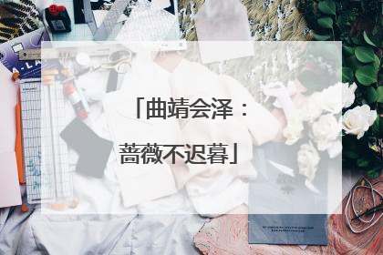 曲靖会泽：蔷薇不迟暮