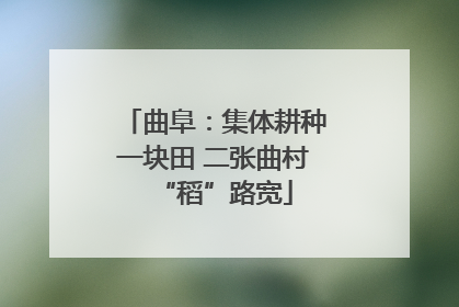 曲阜：集体耕种一块田 二张曲村“稻”路宽