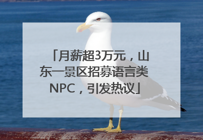 月薪超3万元，山东一景区招募语言类NPC，引发热议