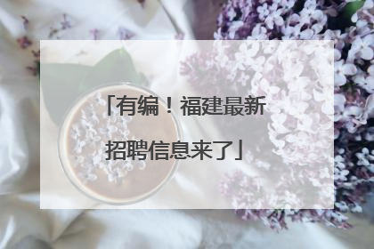 有编！福建最新招聘信息来了