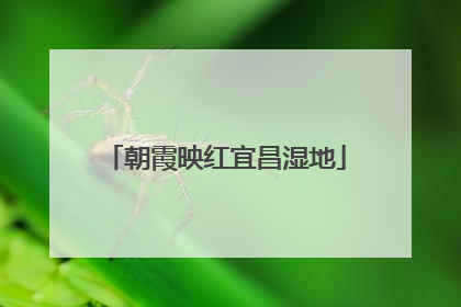 朝霞映红宜昌湿地