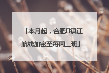 本月起，合肥⇋镇江航线加密至每周三班