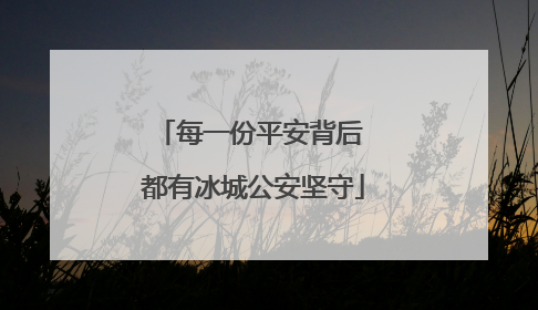 每一份平安背后 都有冰城公安坚守
