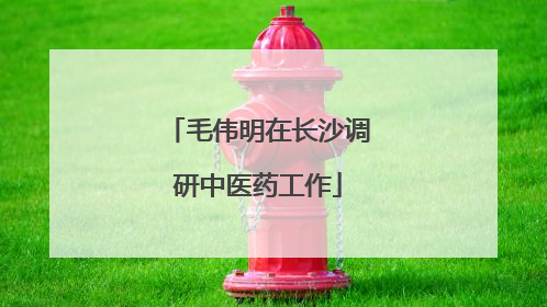毛伟明在长沙调研中医药工作