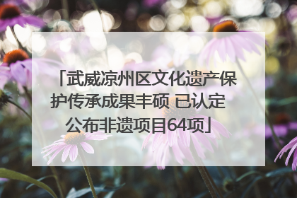 武威凉州区文化遗产保护传承成果丰硕 已认定公布非遗项目64项