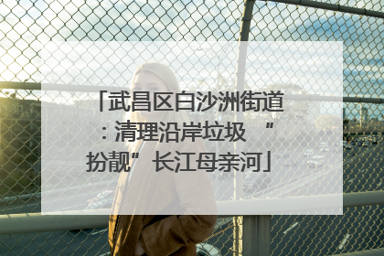 武昌区白沙洲街道：清理沿岸垃圾 “扮靓”长江母亲河