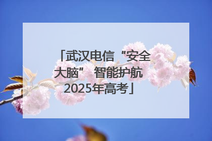 武汉电信“安全大脑” 智能护航2025年高考