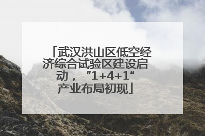 武汉洪山区低空经济综合试验区建设启动，“1+4+1”产业布局初现