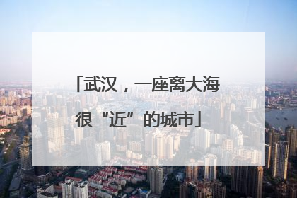 武汉，一座离大海很“近”的城市