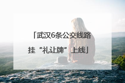 武汉6条公交线路挂“礼让牌”上线