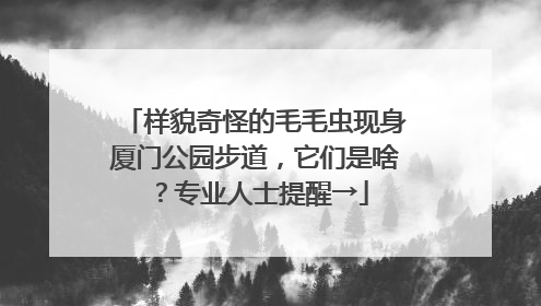 样貌奇怪的毛毛虫现身厦门公园步道，它们是啥？专业人士提醒→