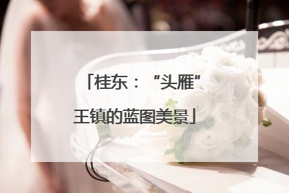 桂东：“头雁”王镇的蓝图美景
