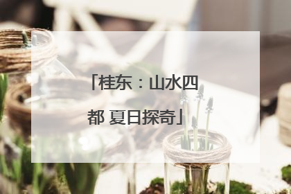 桂东：山水四都 夏日探奇