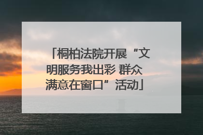 桐柏法院开展“文明服务我出彩 群众满意在窗口”活动