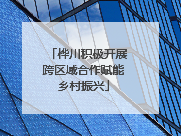 桦川积极开展跨区域合作赋能乡村振兴